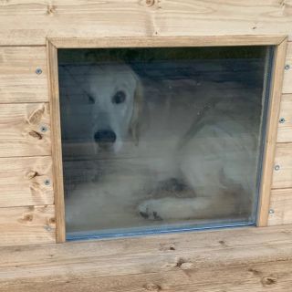 🏡🐶 Stylová a útulná psí bouda TIP LARRY – velikost LARGE! 🐾✨ Perfektní útočiště pro vašeho čtyřnohého parťáka! 🐕‍🦺 Tato...